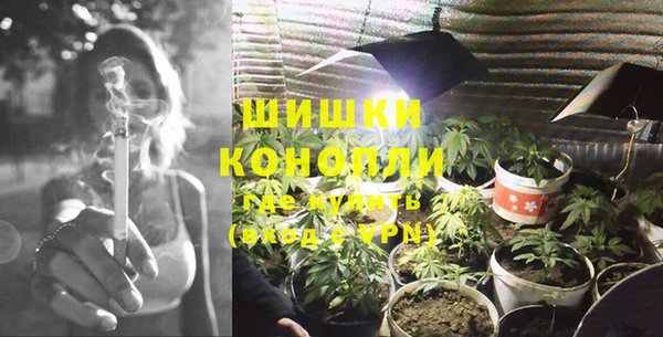 PSILOCYBIN Покровск