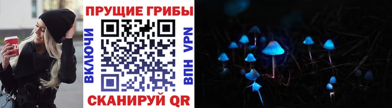 цена   Александровск  hydra как зайти  Галлюциногенные грибы мухоморы 